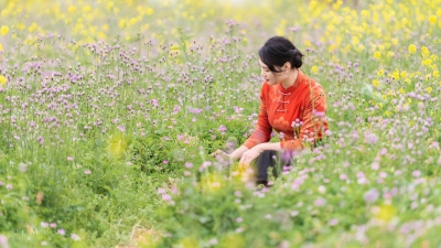 今日兴宁·文峰