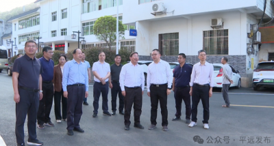 林飞鸣率队到平远县调研交通运输行业风险隐患排查整治和防汛度汛等工作