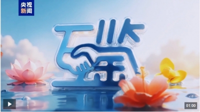 互鉴丨中越友谊长青“同志加兄弟”地缘相近人缘相亲