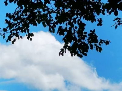 侯楣 | 炎夏里的铝盒清补凉