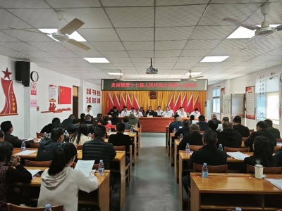 丰顺县龙岗镇召开第十七届人民代表大会第十次会议