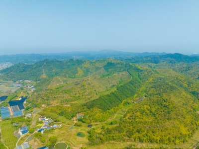 吹响绿美号角 绘就绿美画卷！梅江区广泛凝聚社会力量全面推进乡村绿化工作