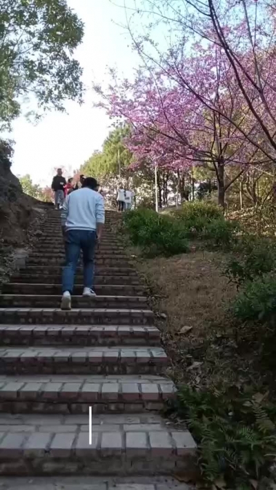 登高胜游高观音