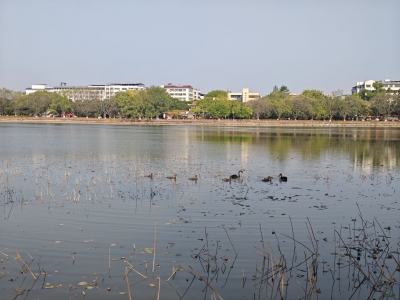 梅江区芹洋学校李梓晨丨春游剑英公园