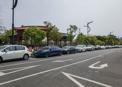 赏景莫“伤景”！清明假期期间，梅城不文明出游现象时有发生