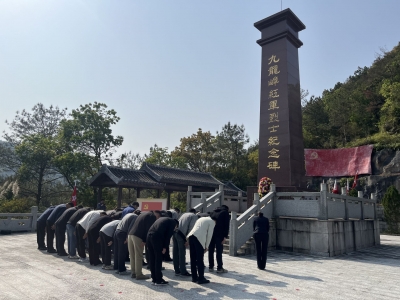 梅县区梅南镇开展清明节烈士祭扫活动