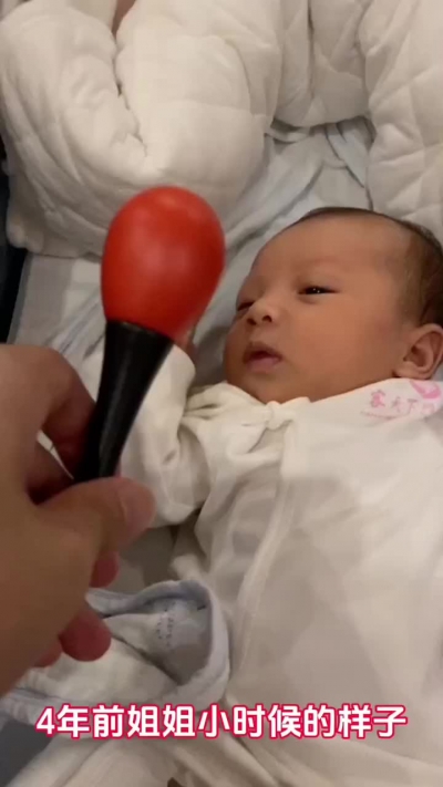 姐弟情深