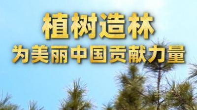第1视点｜植树造林 为美丽中国贡献力量