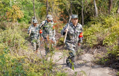 当好森林“守护者”！梅州多措并举织牢清明假期森林防火“安全网”