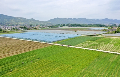 “整”出富民惠民新路径 ！蕉岭统筹推进全域土地综合整治 