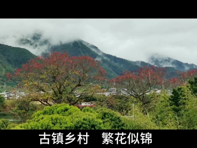古镇乡村 繁花似锦