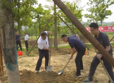市委统战部到蕉岭开展共建“同心林”植树活动