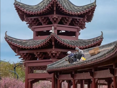 平凡谋生路，为家酿蜜甜  