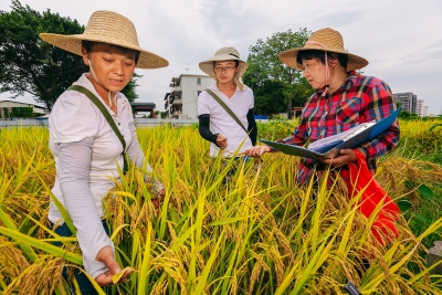 百万英才汇南粤丨以“人才引擎”赋能乡村振兴！梅州良好就业创业环境吸引农业科技人才来梅留梅