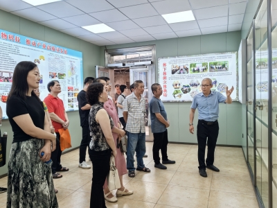 当书法遇上科技会碰出什么火花？梅江区这场跨界交流活动告诉你！