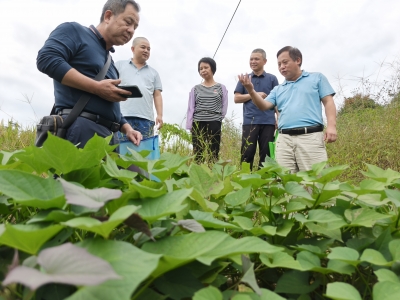 聚智赋能！他们，助推乡村振兴人才驿站工作提质增效