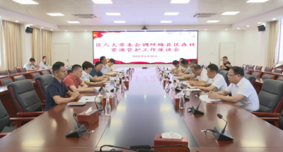 梅县区人大常委会组织开展专题调研：以更高标准、更实举措推进森林资源管护工作