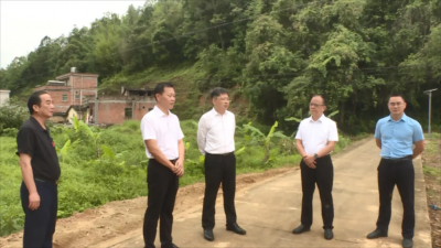 夏兰亭、谢定雄调研督导“龙舟水”防御、农村生活污水治理和典型村建设情况