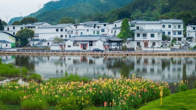 梅州V视丨“百千万工程”激发千年古镇活力！梅县区松口镇致力于打造“南洋海丝路·客侨第一镇”