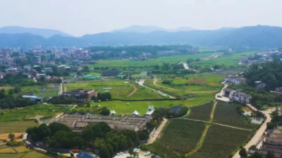 梅县区南口镇：奋进“百千万工程” 绘就产业振兴画卷