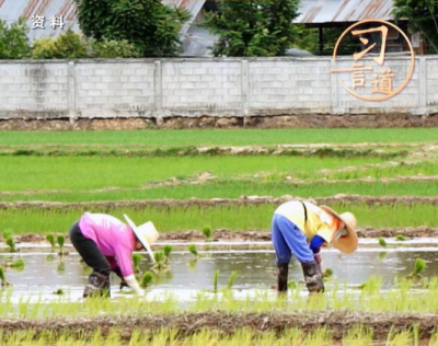 【追光的你】 习言道 | 光荣属于劳动者 幸福属于劳动者