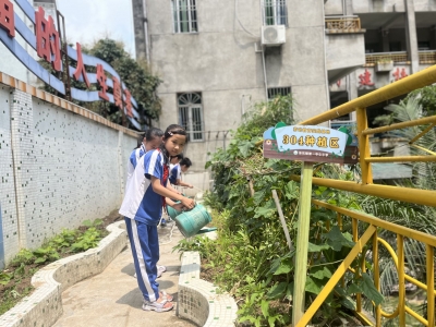 照片墙丨期待收成 