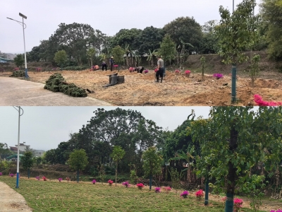 丰顺县汤西镇人大代表：初心如炬照征程 躬身力行显担当