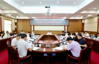 丰顺县委人才工作领导小组会议召开