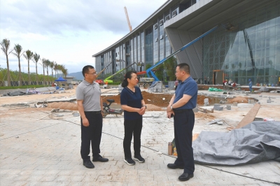 蓝伟东调研挂钩联系重点项目建设等情况