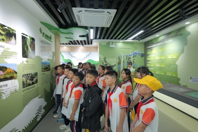 萌娃化身生态讲解员！蕉岭长潭“双园展”把生物多样性玩出花