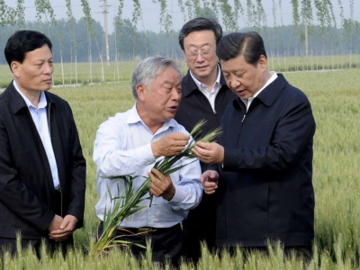 学习进行时｜是贡献，也是奉献——习近平总书记和河南的故事