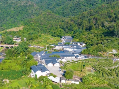 以改革更好促进“百千万工程”，广东出台28条措施→