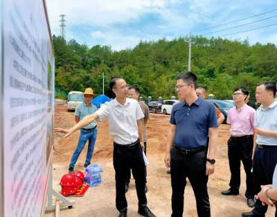 王锋到白渡镇调研工业重点项目建设推进情况