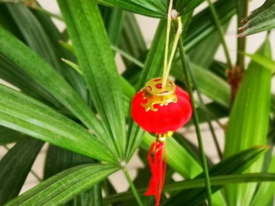 丰顺潘田街头出翰林（口述：陈奕荣， 整理：杨进发）