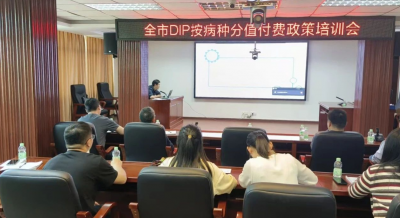 市医保局召开全市按病种分值付费（DIP）2.0版落地应用视频培训会