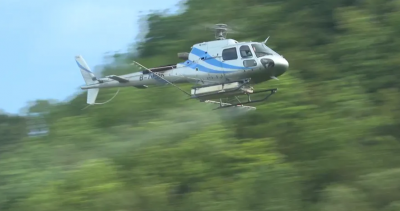 松林“癌症”来袭！兴宁启动空中防疫攻坚战