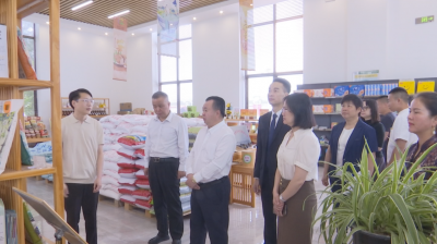 推动寿乡优品启航大湾区！加拿大全加客属联谊会一行到蕉岭考察