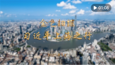 金色相框丨习近平上海之行