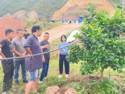 助力农业高质量发展！科技特派员团队下沉梅县城东镇送技术