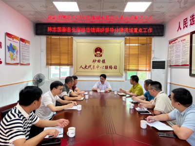 陈志国到丰顺砂田、潘田镇督导检查地质灾害和“龙舟水”防御工作