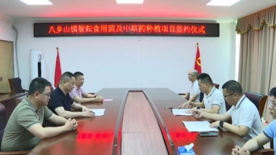 计划总投资5000万元！食用菌及中草药种植项目签约落地丰顺县八乡山镇
