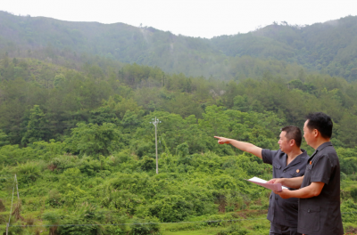 判“补植”更盼“复绿”！梅县区法院落实生态修复回访