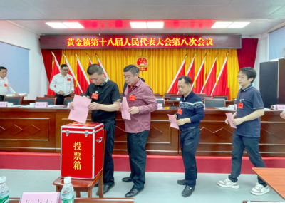 民生实事票决制！丰顺县黄金镇人大的民主实践与群众满意答卷