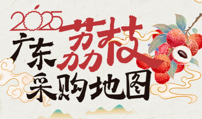 包甜！管够！广东荔枝季来了