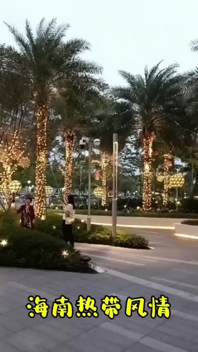 海南热带风情