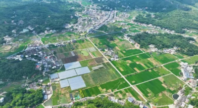 梅县区大坪镇：执“百千万工程”之笔 擘画乡村振兴新图景