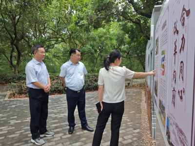 陈元星到兴宁市合水镇调研督导“百千万工程”实施等工作