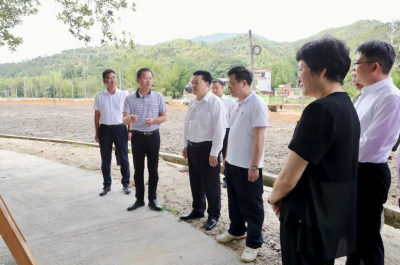 张志锋到丰顺县砂田小胜镇督导调研