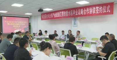 平远县举行“社村”合作产业规划汇报会暨水稻种业战略合作协议签约仪式