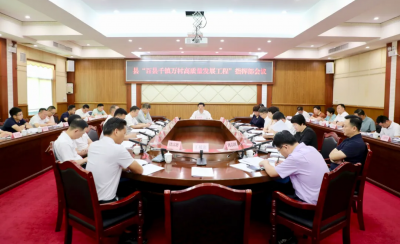 丰顺县“百县千镇万村高质量发展工程”指挥部会议召开 